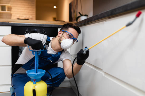 Best Mosquito Control Services  in Mcnary, AZ