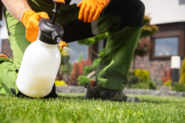 Best Emergency Pest Control  in Mcnary, AZ