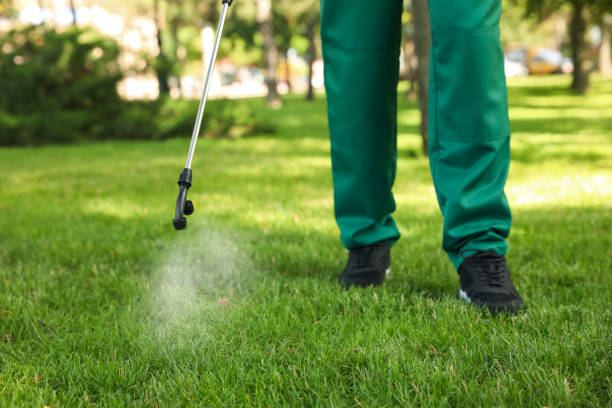 Best Best Pest Control Companies  in Mcnary, AZ