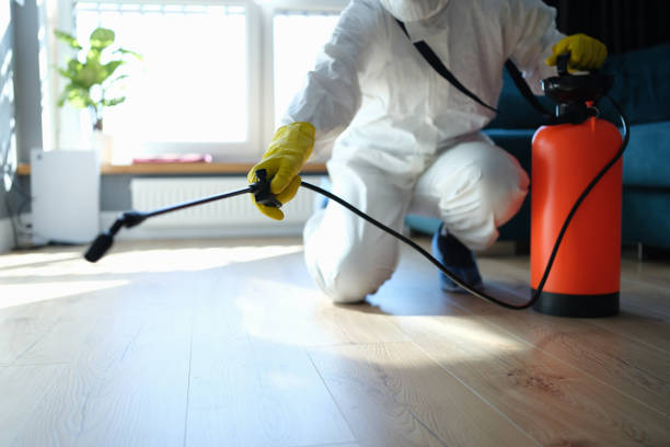 Professional Pest Control in Mcnary, AZ