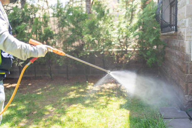 Best Ant Control Services  in Mcnary, AZ