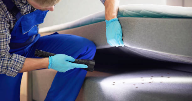 Best Affordable Pest Control Services  in Mcnary, AZ