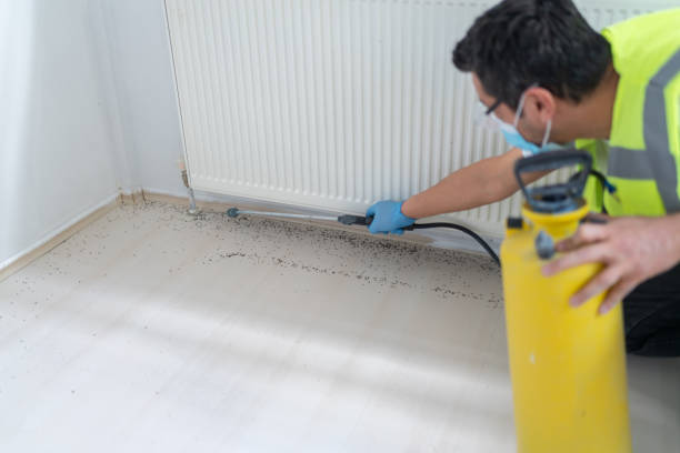 Best Pest Control Near Me  in Mcnary, AZ