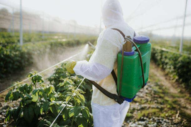 Best Wildlife Control Services  in Mcnary, AZ